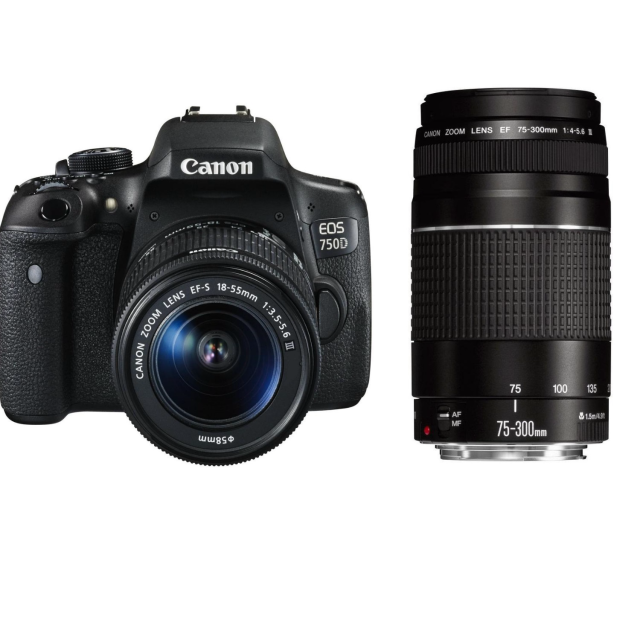 Canon EOS 750D + 18-55 DC III + 75-300 DC III